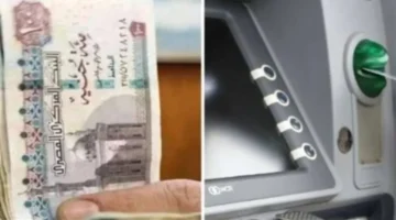 رابط تحديث البيانات.. شروط القبول في برنامج تكافل وكرامة عبر البوابة الإلكترونية